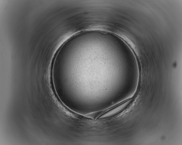 X0000099290949200805090927