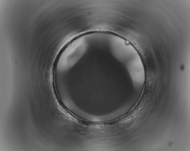 X0000099290950200805090927