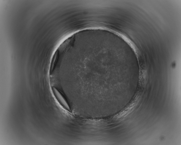 X0000099290951200805090927