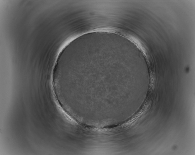 X0000099290952200805090927