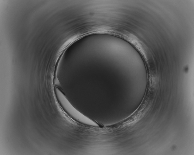 X0000099290954200805090927