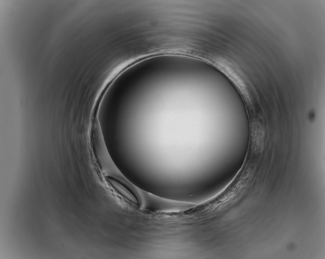 X0000099290956200805090927