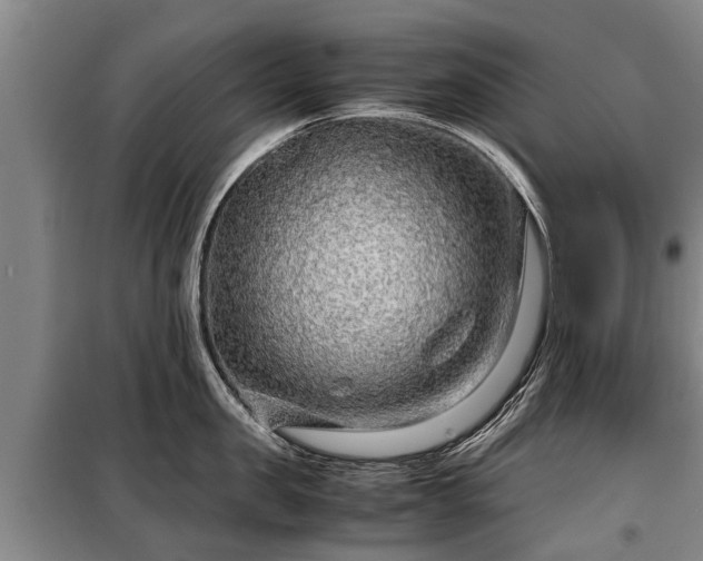 X0000099290957200805090927