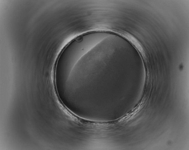 X0000099290958200805090927