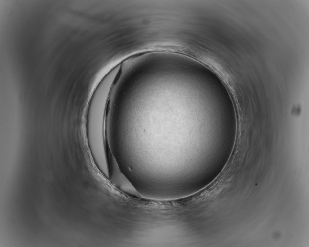 X0000099290960200805090927