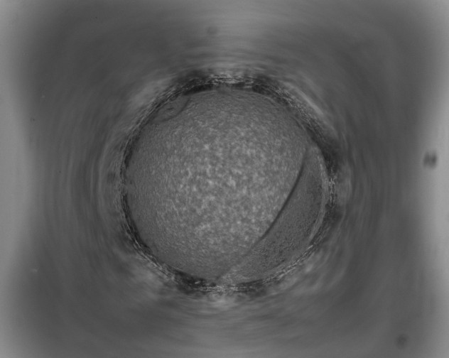 X0000099290961200805090926