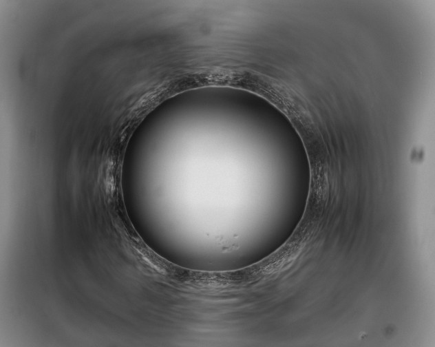 X0000099290962200805090926