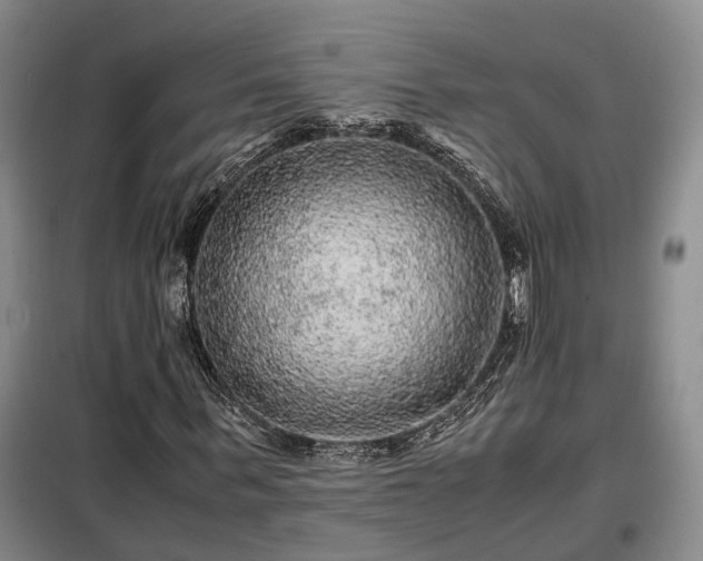 X0000099290963200805090926