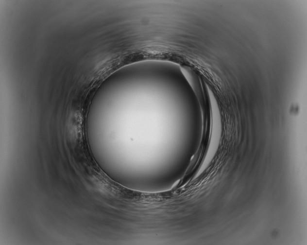 X0000099290964200805090926