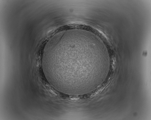 X0000099290965200805090926