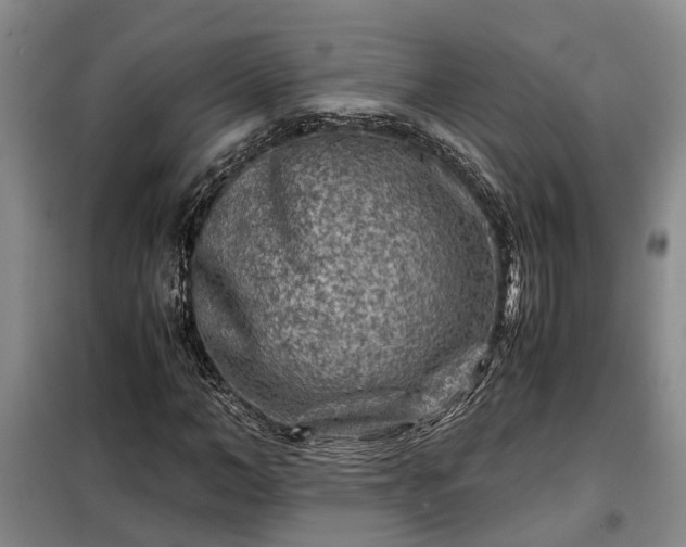 X0000099290966200805090926