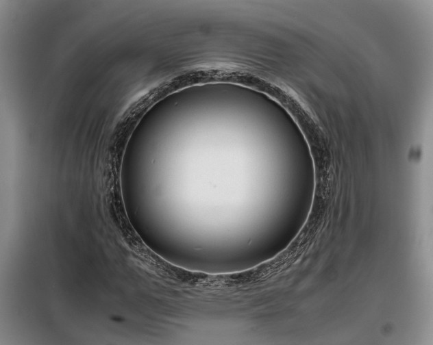 X0000099290967200805090926