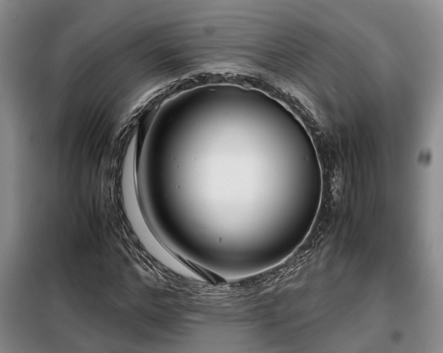 X0000099290968200805090926