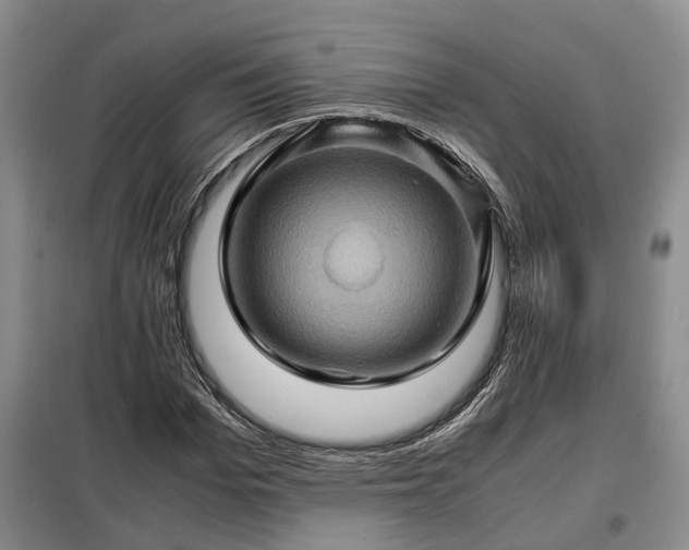 X0000099290969200805090926
