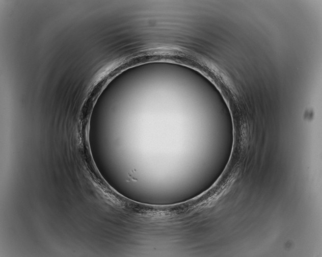 X0000099290970200805090926