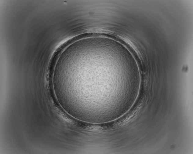 X0000099290971200805090926