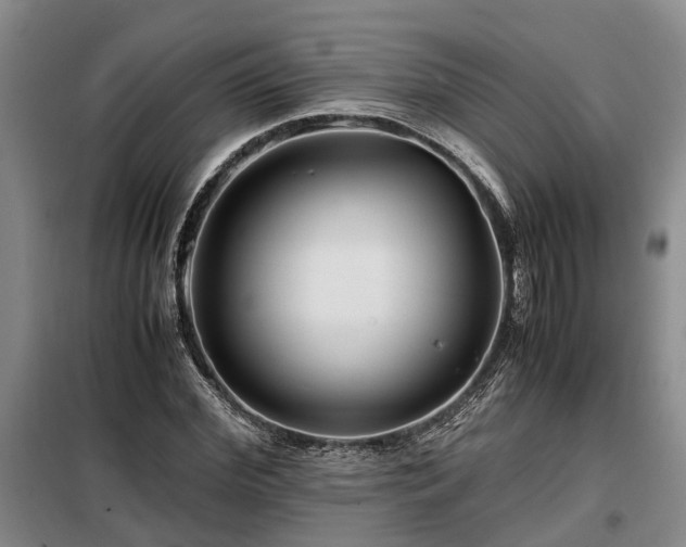 X0000099290972200805090926