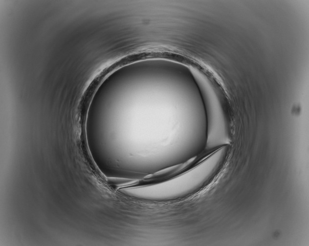 X0000099290973200805090926