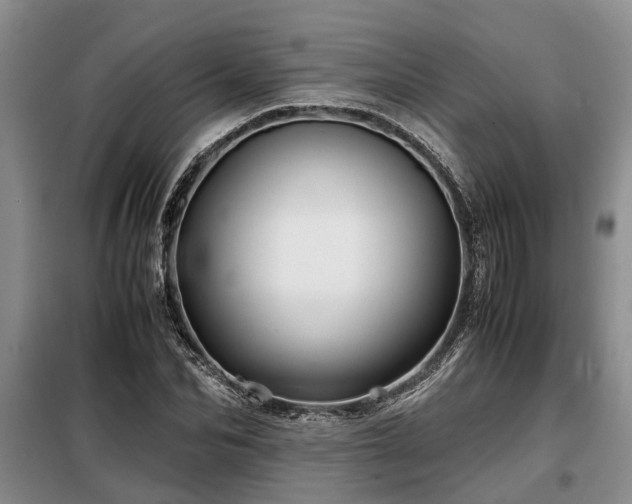 X0000099290974200805090926