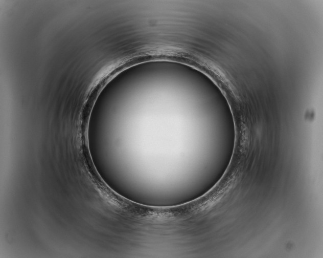 X0000099290978200805090926