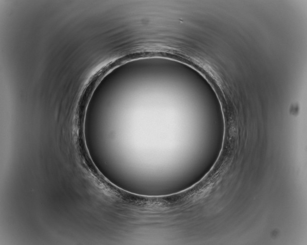 X0000099290979200805090926