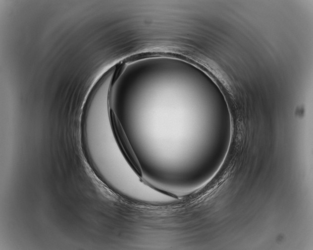 X0000099290980200805090926