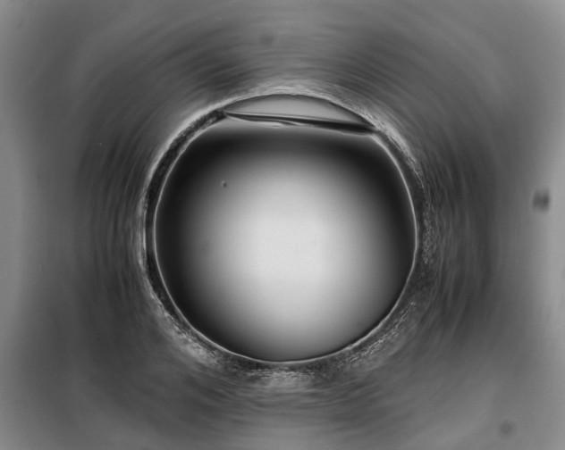 X0000099290984200805090926