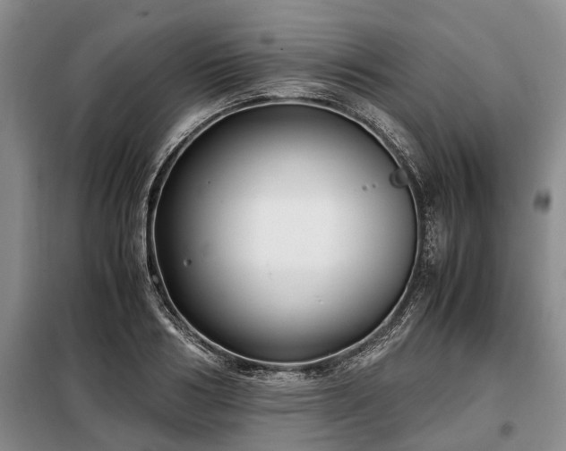 X0000099290986200805090926