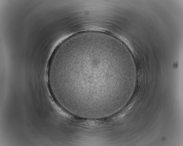 X0000099290987200805090926
