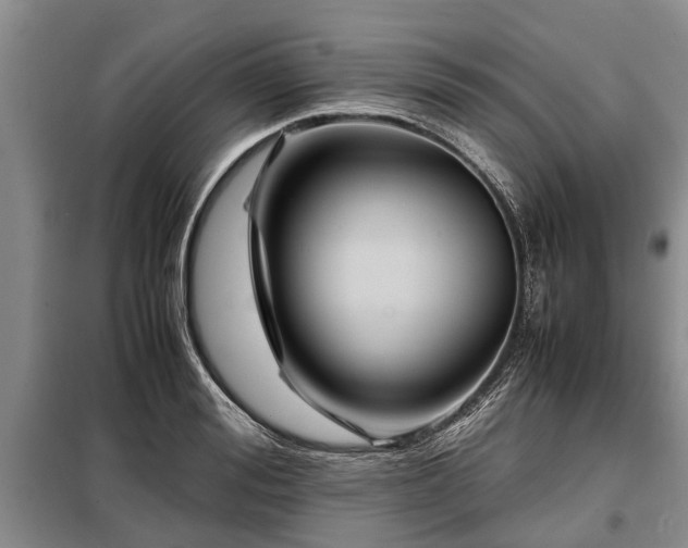 X0000099290988200805090926