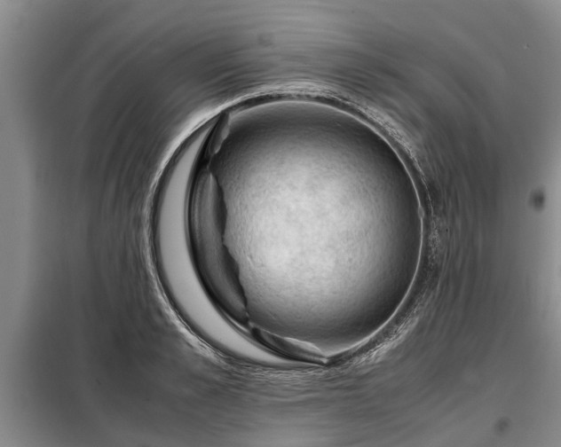 X0000099290989200805090926