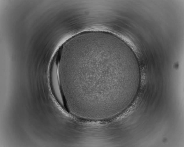 X0000099290990200805090926