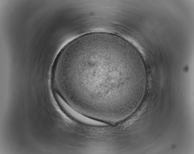 X0000099290991200805090926
