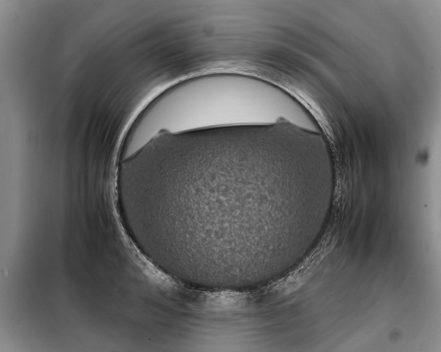 X0000099290992200805090926