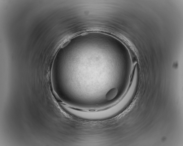 X0000099290993200805090926