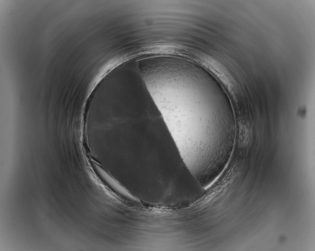 X0000099290994200805090926