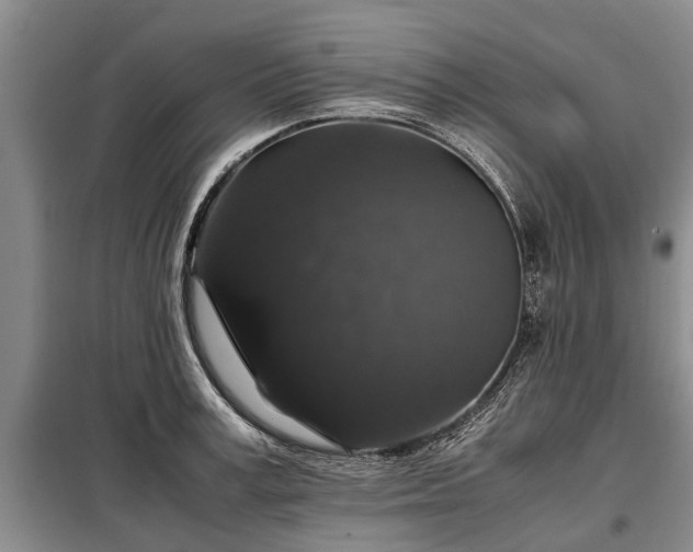 X0000099290995200805090926