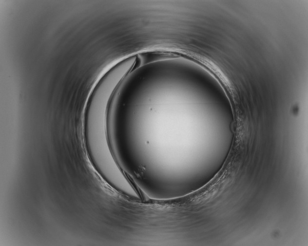 X0000099290996200805090926