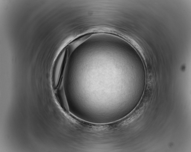 X0000099290997200805090926