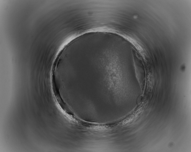 X0000099290998200805090926