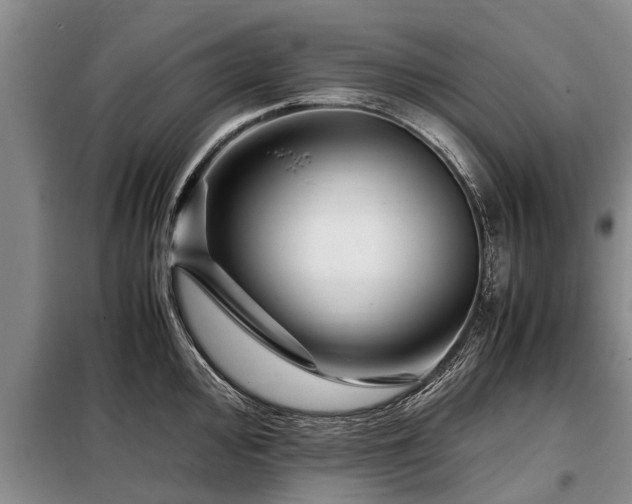 X0000099291000200805090926