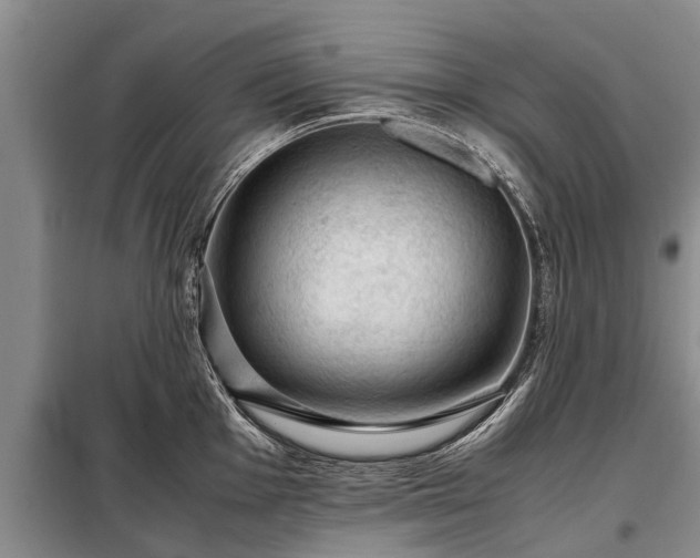 X0000099291001200805090926
