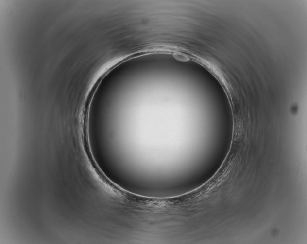 X0000099291003200805090926