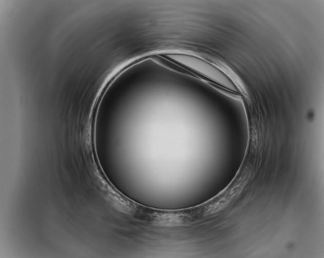 X0000099291004200805090926