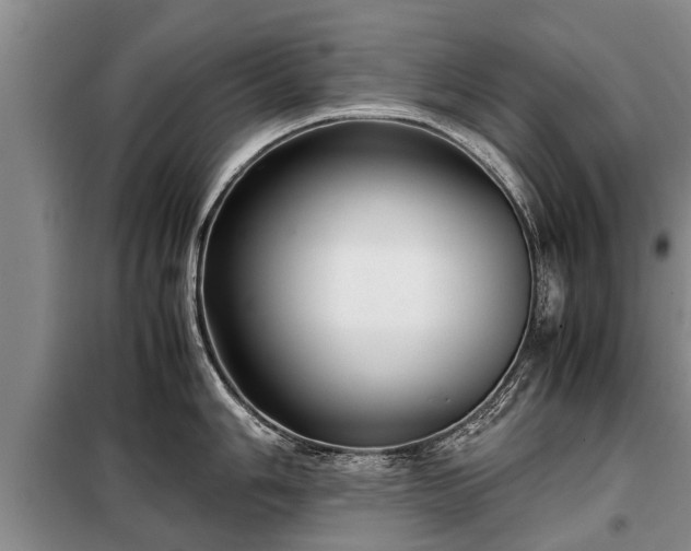 X0000099291006200805090926
