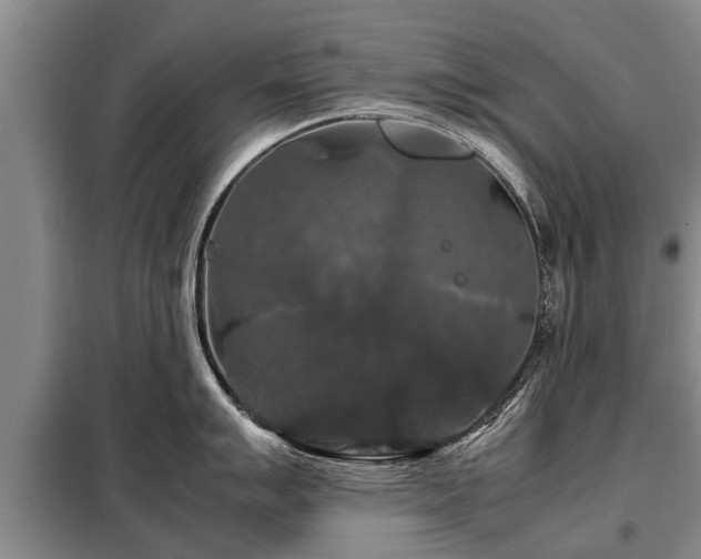X0000099291007200805090926