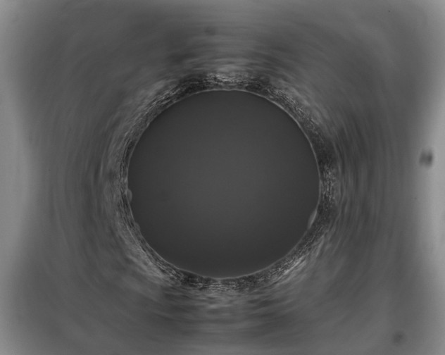 X0000099291009200805090925