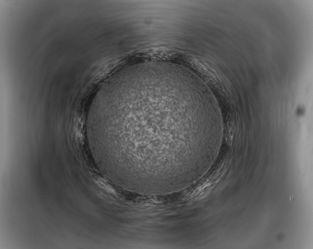 X0000099291010200805090925