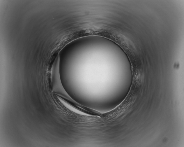 X0000099291012200805090925