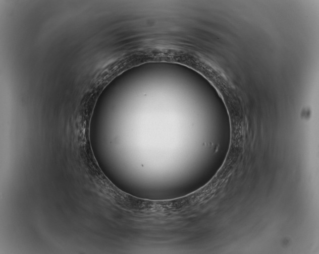 X0000099291013200805090925